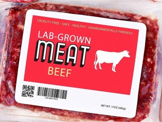 lab grown meat secrets