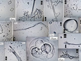 Self-Assembling Nanoparticles