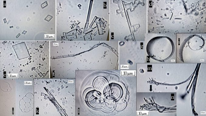 Self-Assembling Nanoparticles