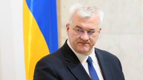 FILE PHOTO: Ukrainian Foreign Minister Andrey Sibiga.